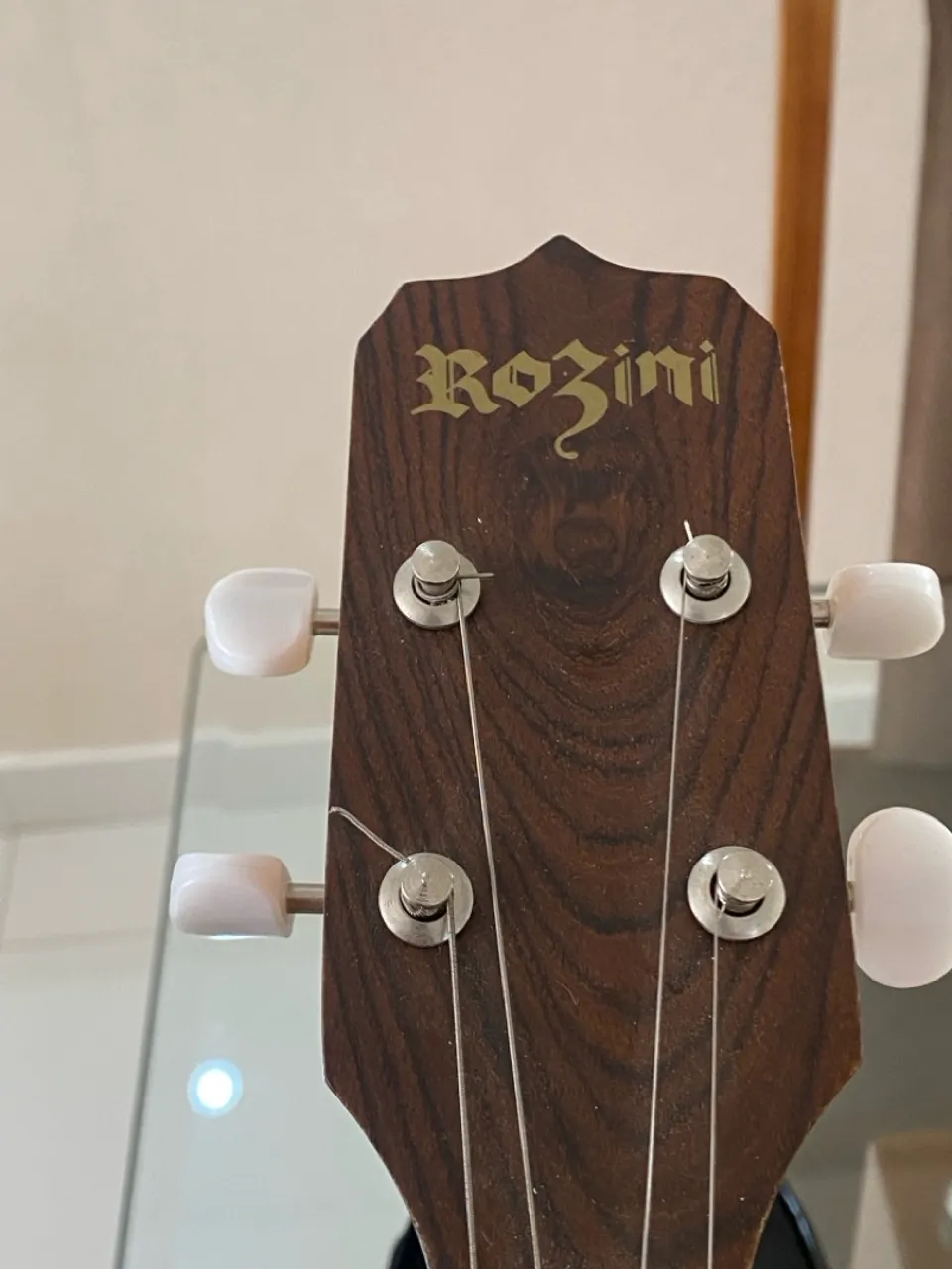 Cavaquinho Rozini estudante !!!