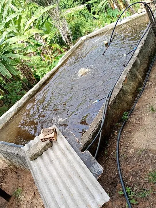 Sitio 70% abaixo do valor-NANUQUE-MINAS GERAISCASAS-ATUALMENTE  PEIXES-TROCO NO ES
