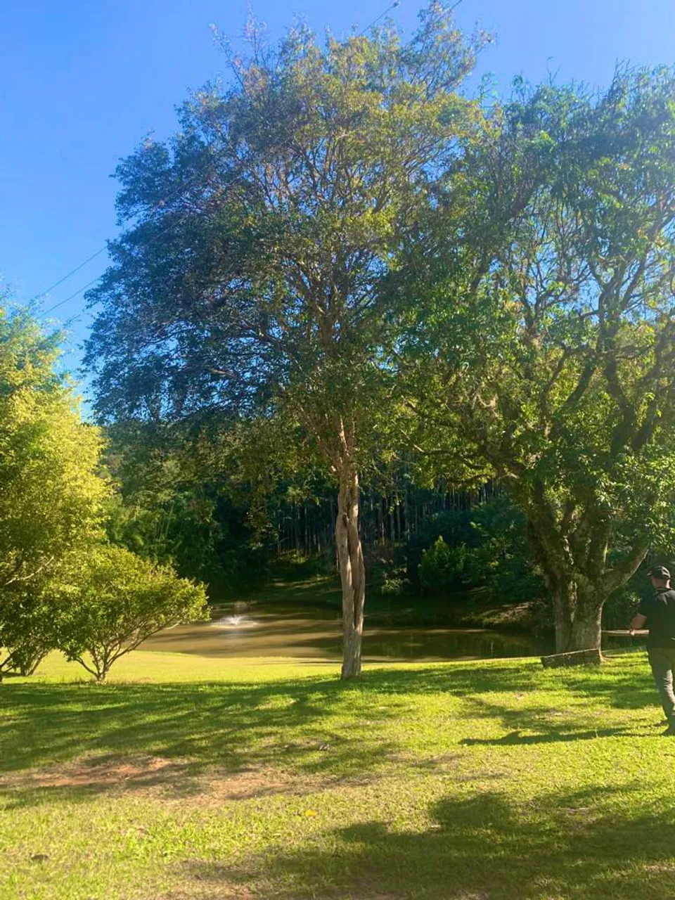 Terrenos de 1000m² em Alumínio aberto para investidores