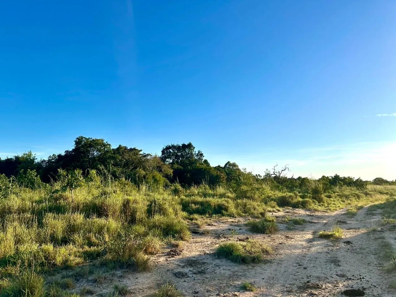 Fazenda 51 alqueires em Peixe Tocantins 