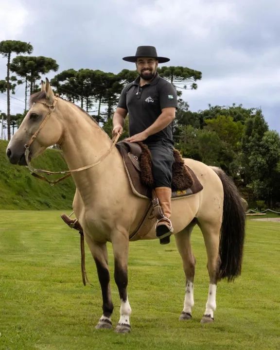 Cavalo Crioulo para venda
