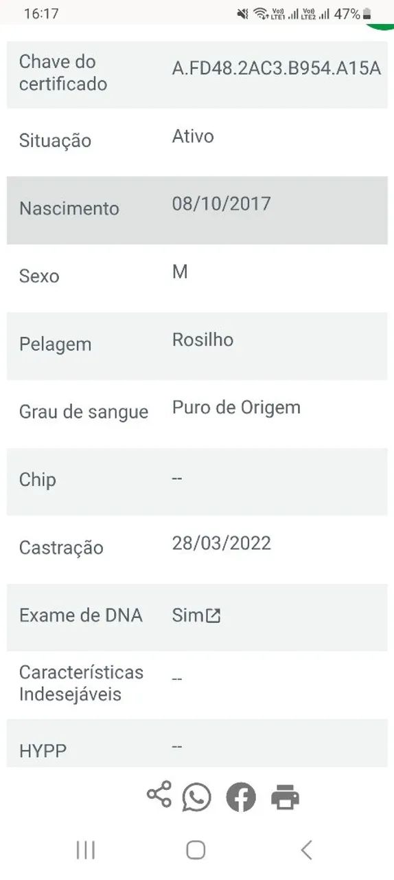 CAVALO QUARTO DE MILHA REGISTRADO - Foto 2