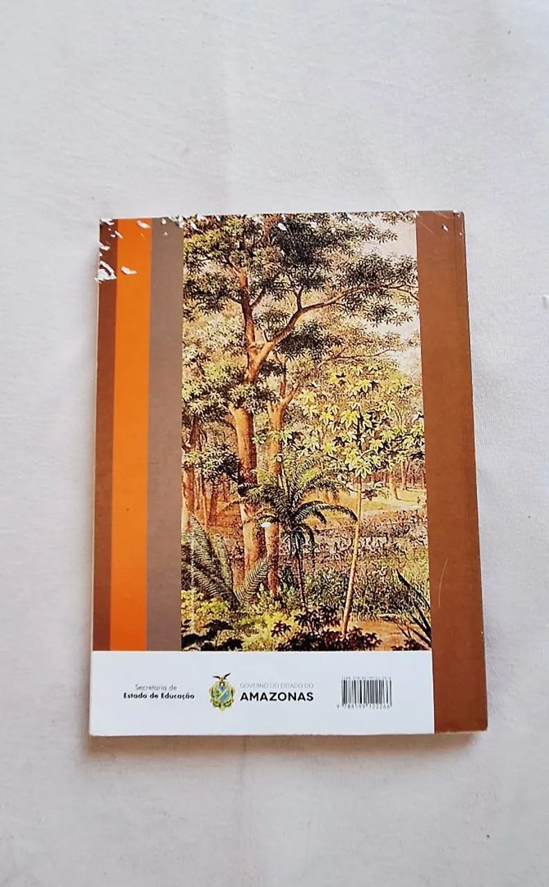 Tópicos: História do Amazonas, Aguinaldo Fiquereido - Volume Único - Foto 2