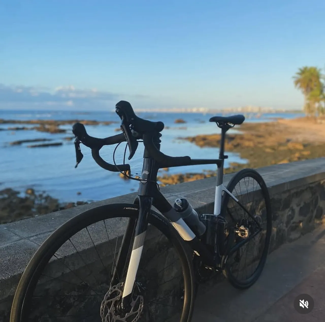 Bicicleta de Ciclismo - Cannoldale SuperSix