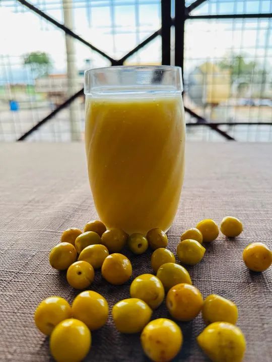 Suco de Murici Orgânico e Concentrado - Foto 4