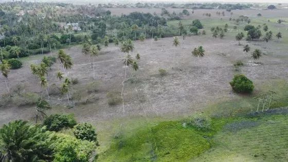 fazenda com 40 hectares em Monte Alegre - Foto 2