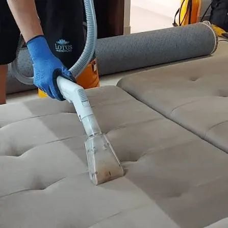 Higienização de estofados Lavagem a seco