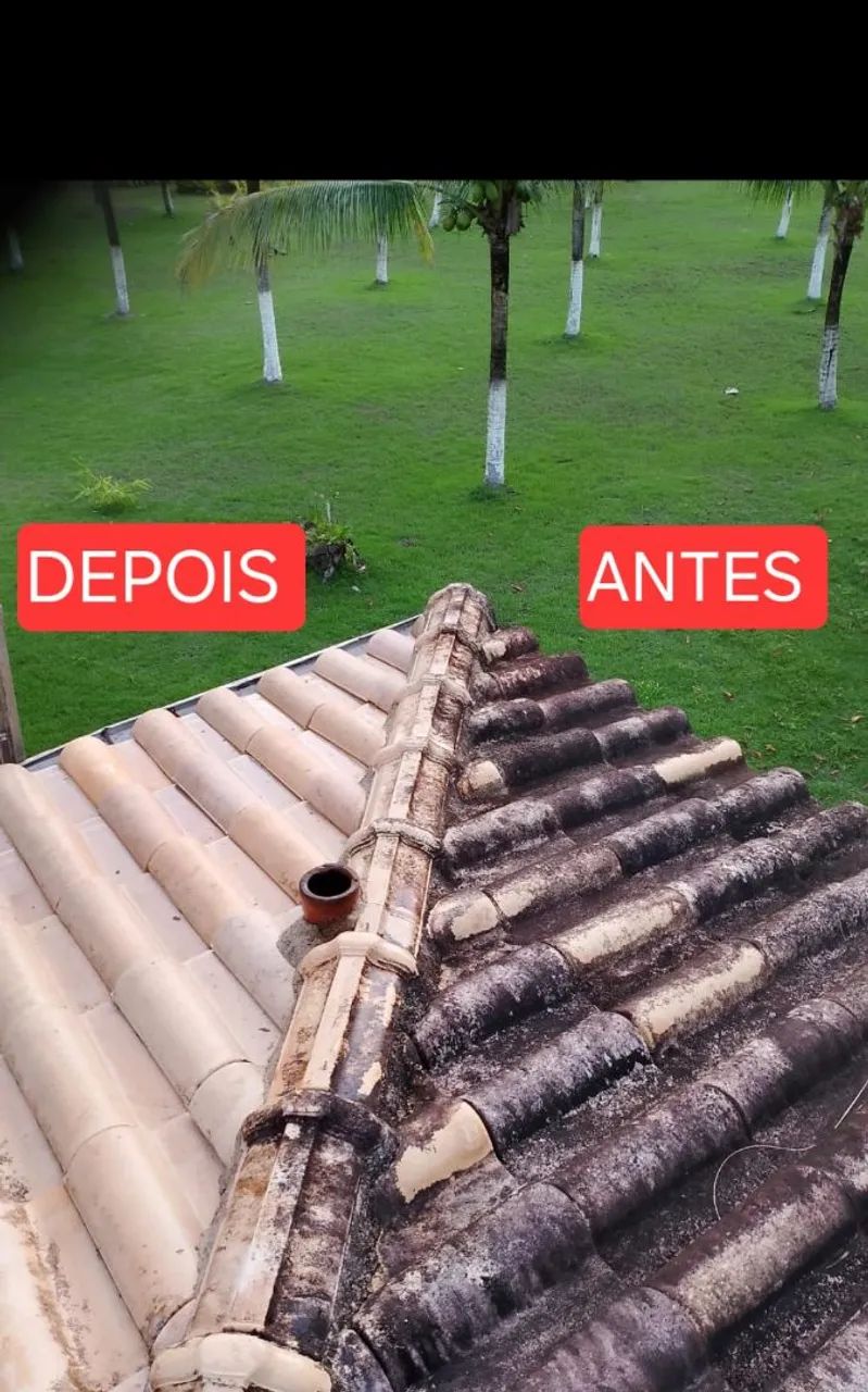 Limpeza e descontaminação de telhados sem usar água  - Foto 2