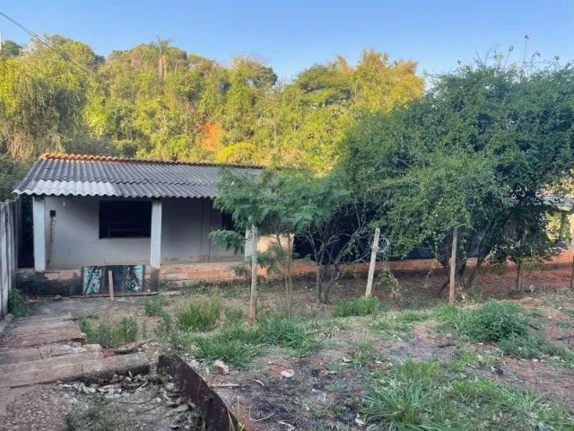 Foto - Mateus Leme - 