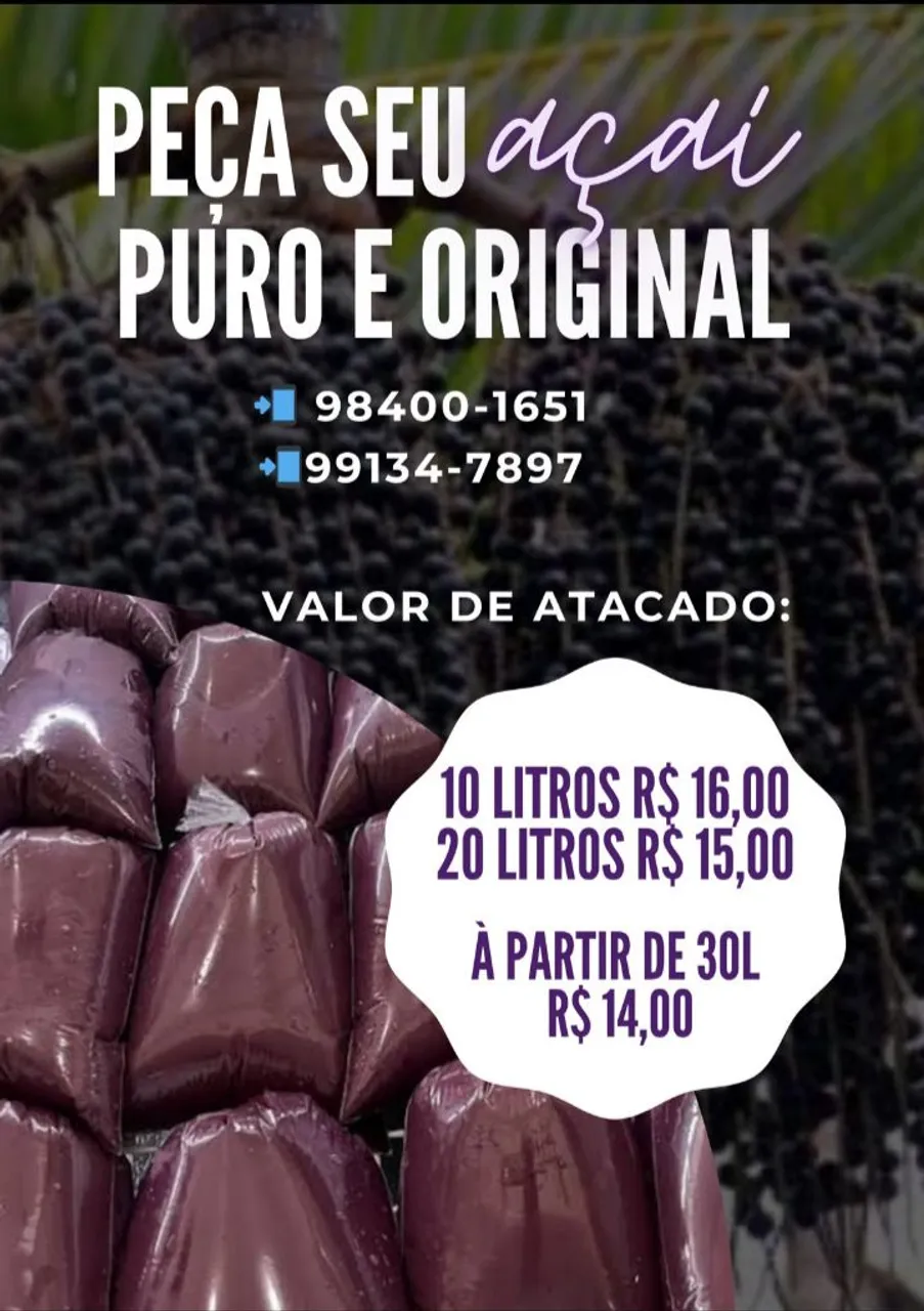Açaí Puro e Original - Atacado