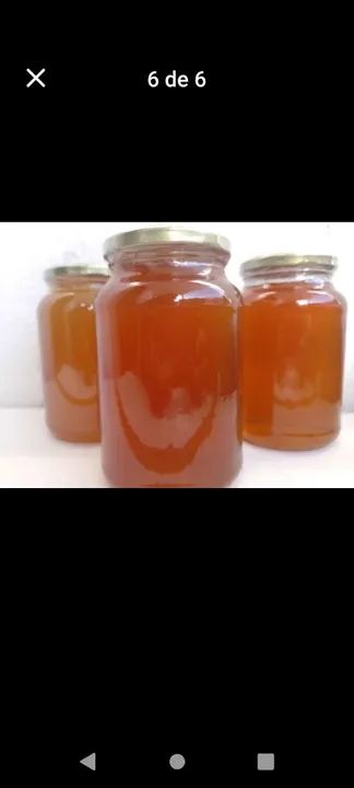 Mel de abelha puro - 100% natural - Foto 4