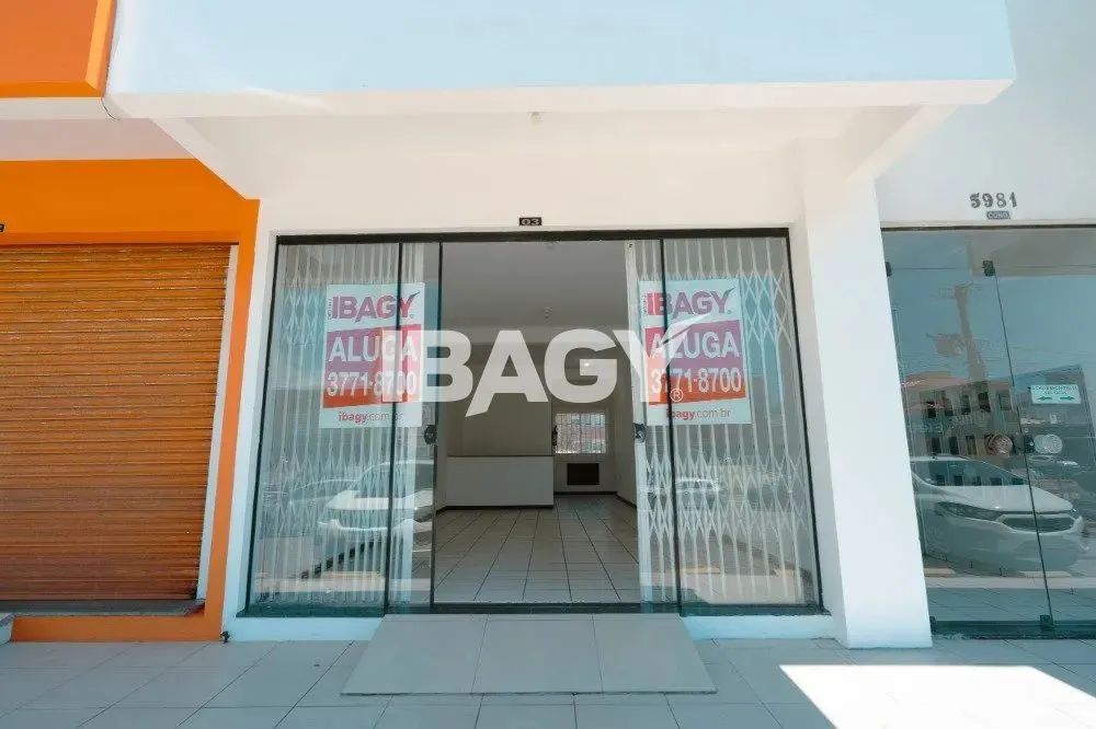 Oportunidade! Loja em Ingleses Do Rio Vermelho - Florianópolis - Foto 2