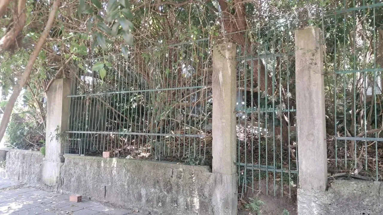 Casa c/ Terreno de 738m², Ocupada no Menino Deus, Porto Alegre/RS