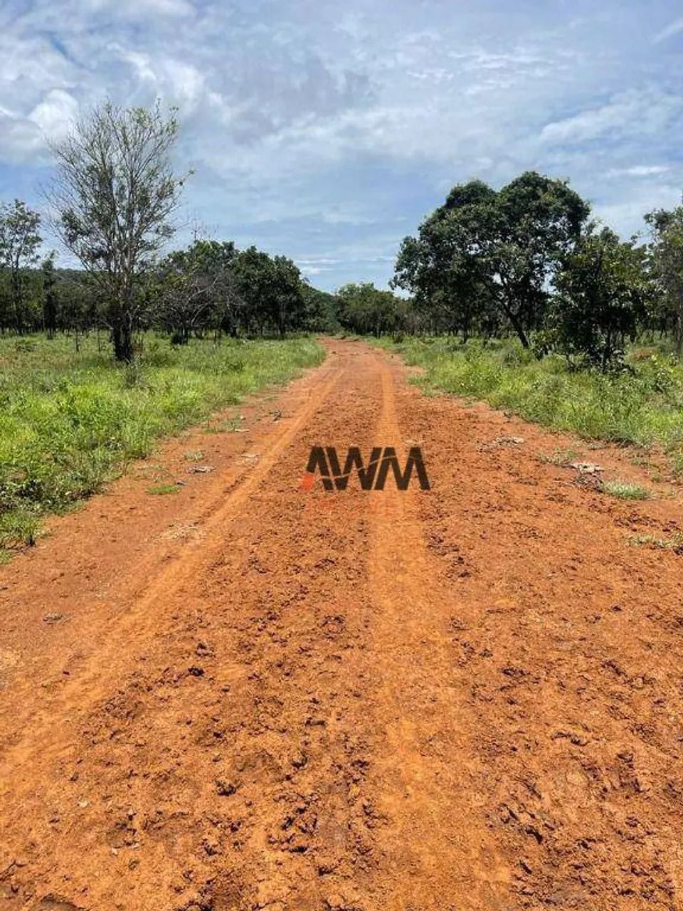 Fazenda à venda, 28500 ha por R$ 235.520.000 - Foto 2