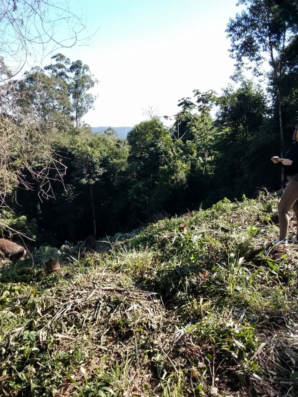Vendo terreno km 36 Raposo Tavares 