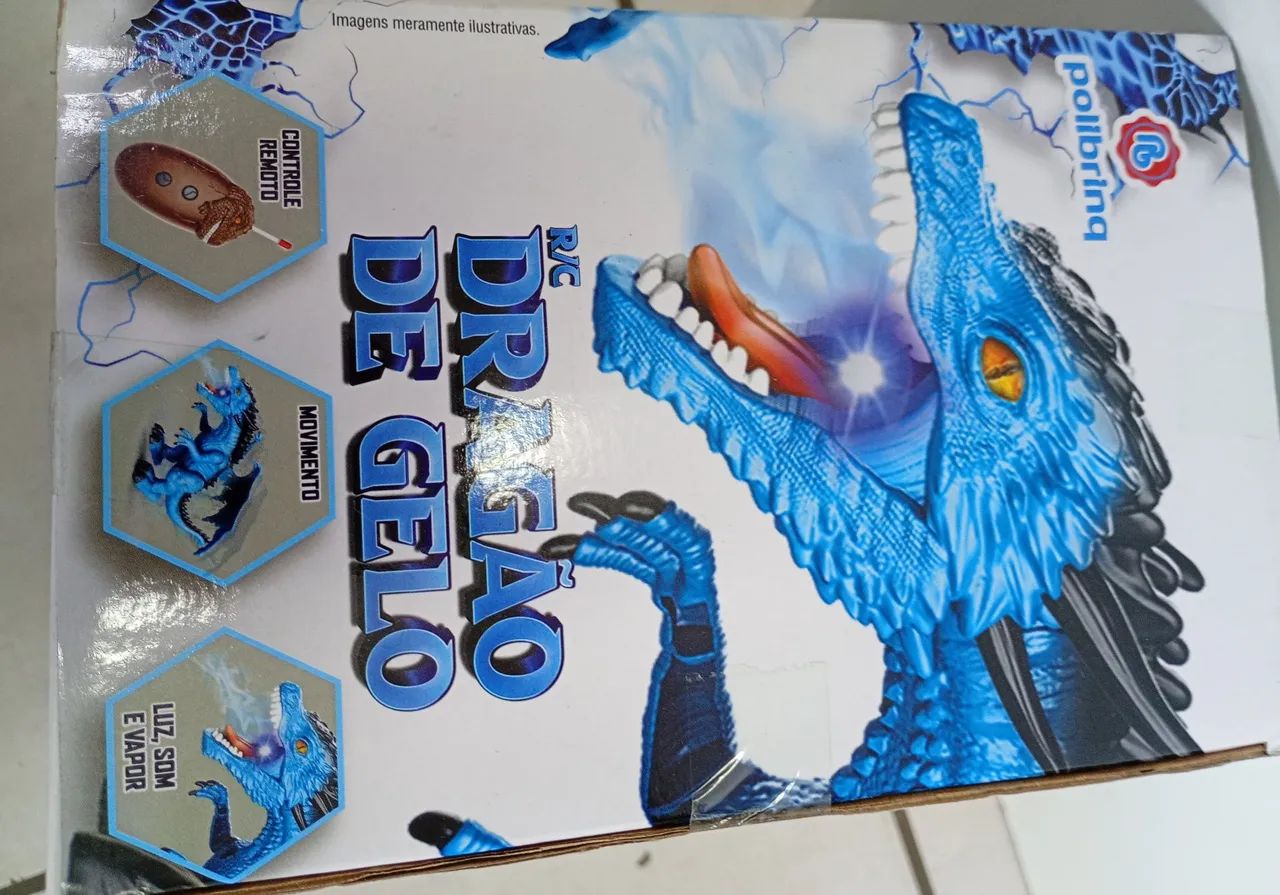 Dragão de Gelo - Foto 3