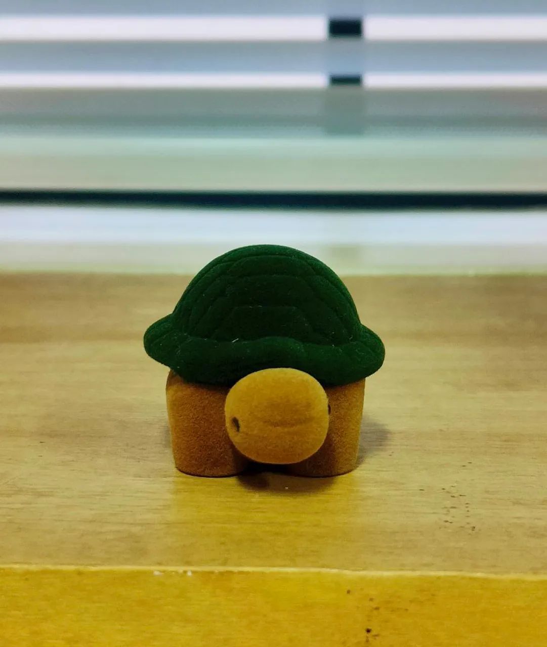 Caixinha de Veludo Anel de Tartaruga 
