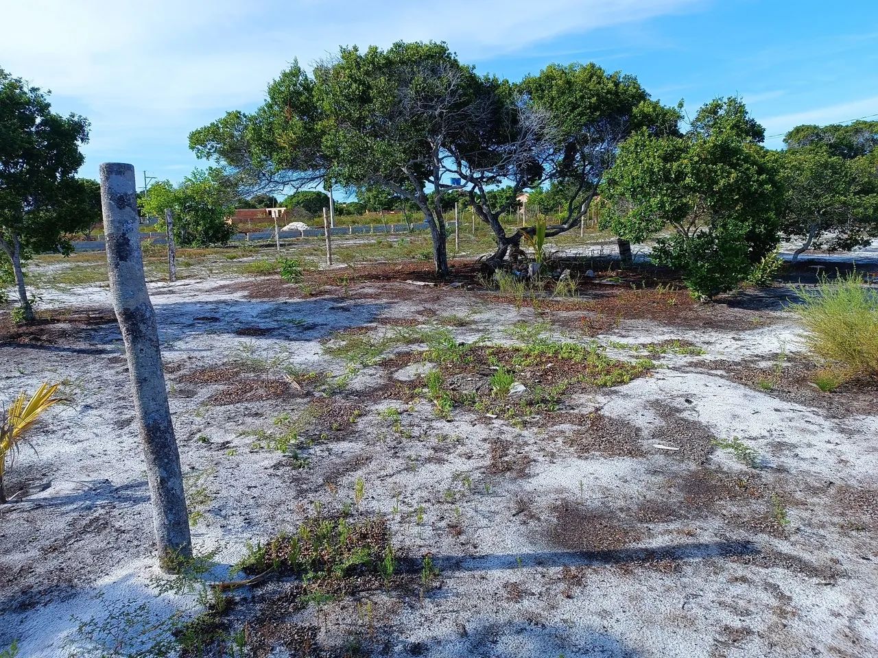 TERRENO PRÓXIMO À PRAIA.  - Foto 5
