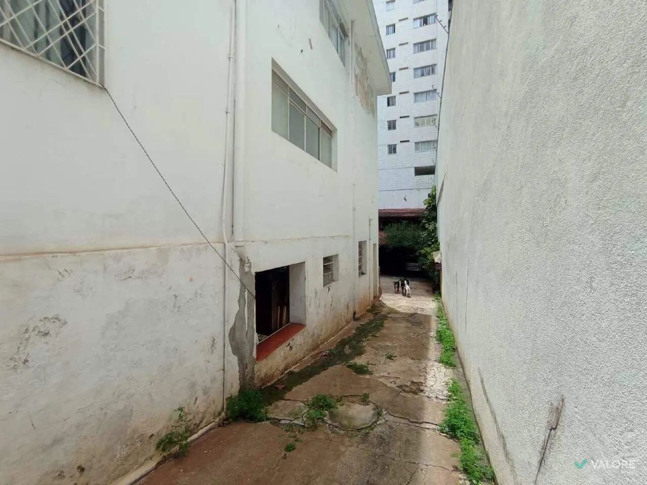 Casa com area total de 400m² na Savassi . - Foto 5