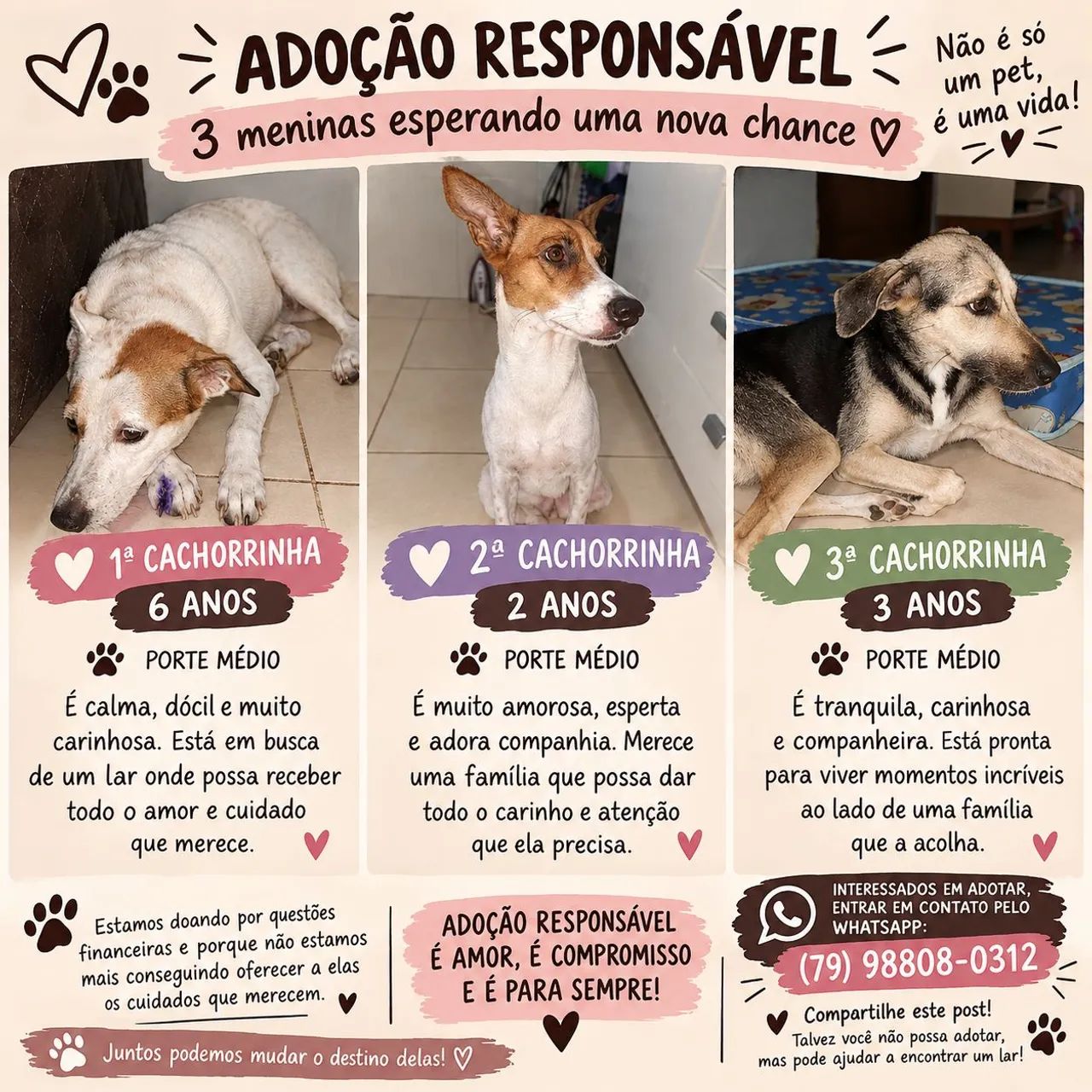 Adoção de três cachorrinhas