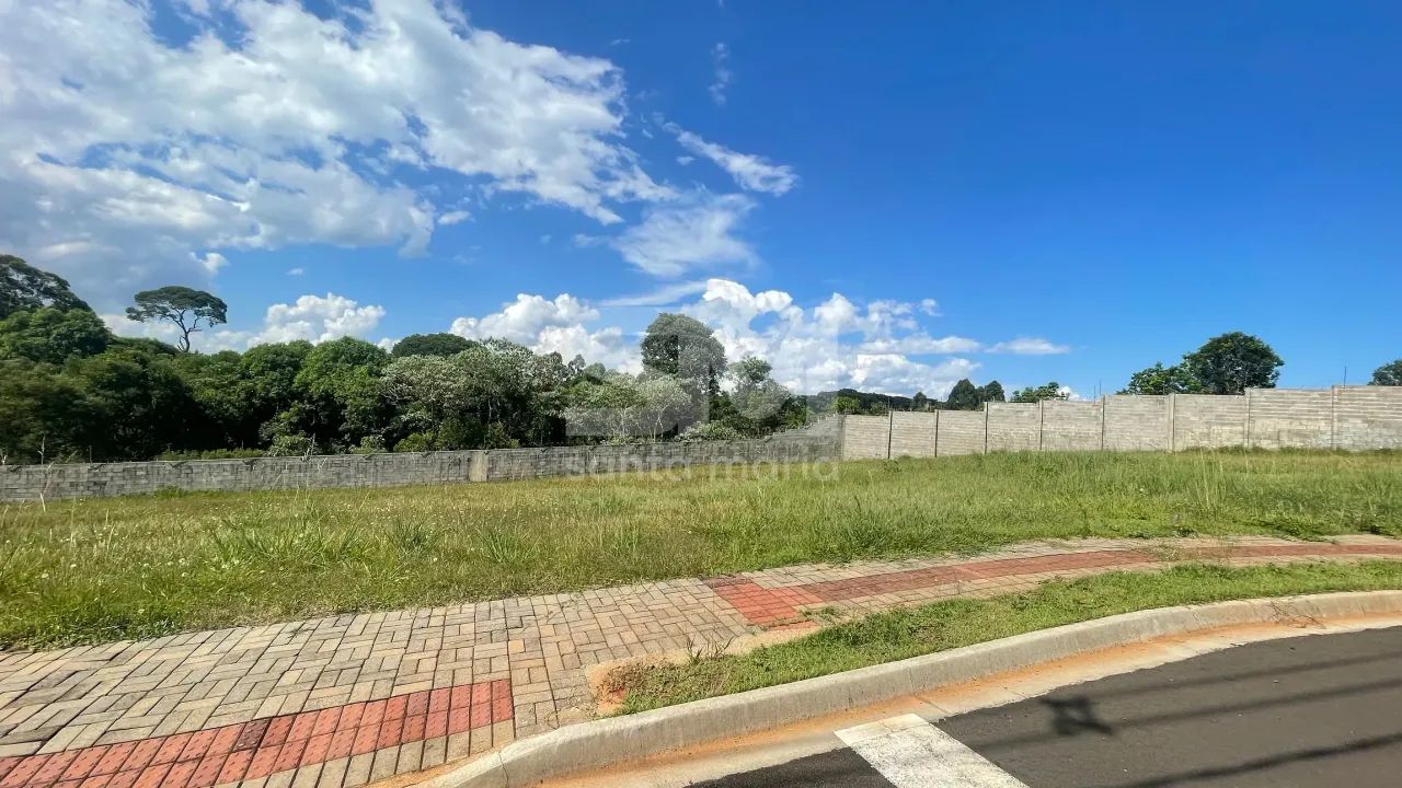Terreno padrão à Venda, Centro, Chapecó, SC - Foto 5