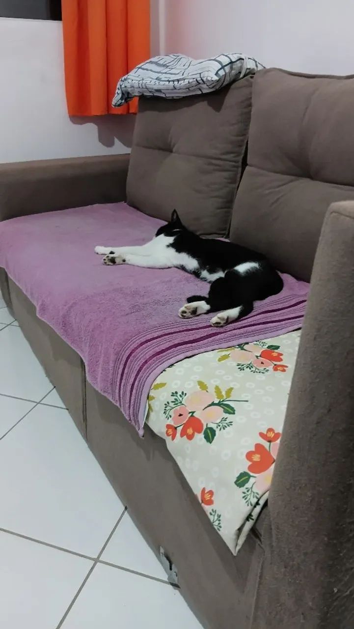 Adoção 