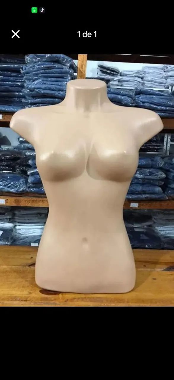 Busto feminino 