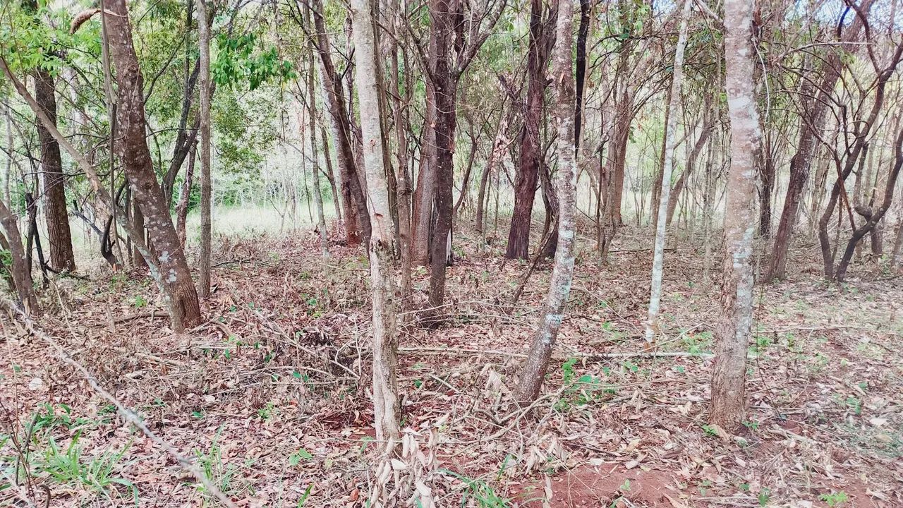 Chácara Miranda 6 - Foto 2