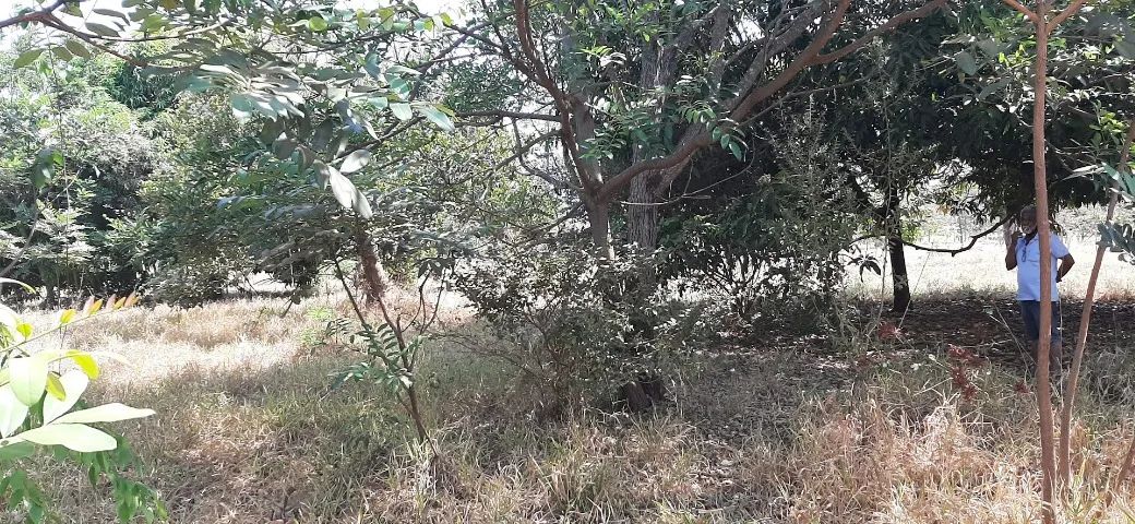 Chácara com 2 Hectares