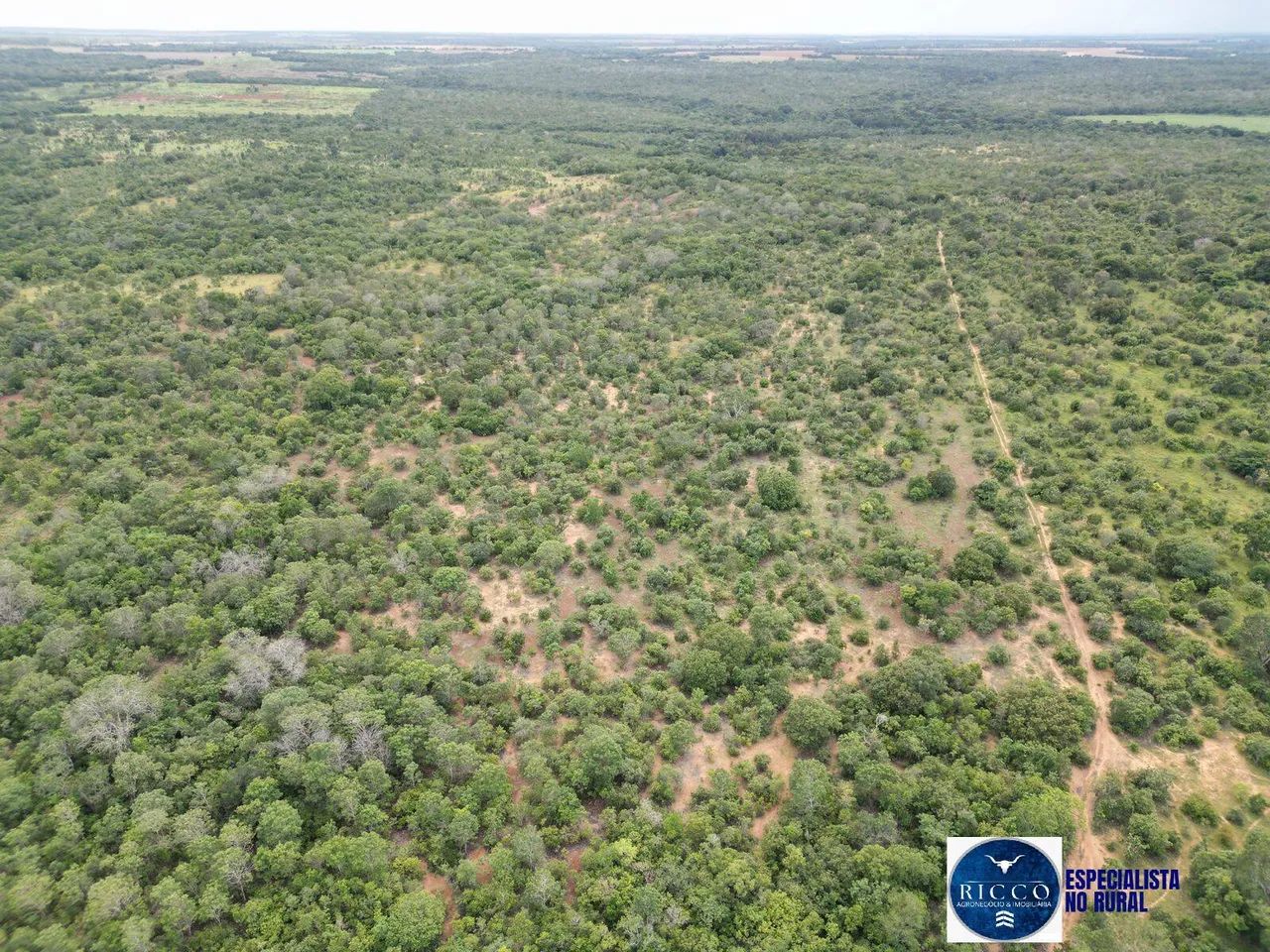 Fazenda à Venda  254 Alqueires na região de Alvorada do Tocantins - Foto 3