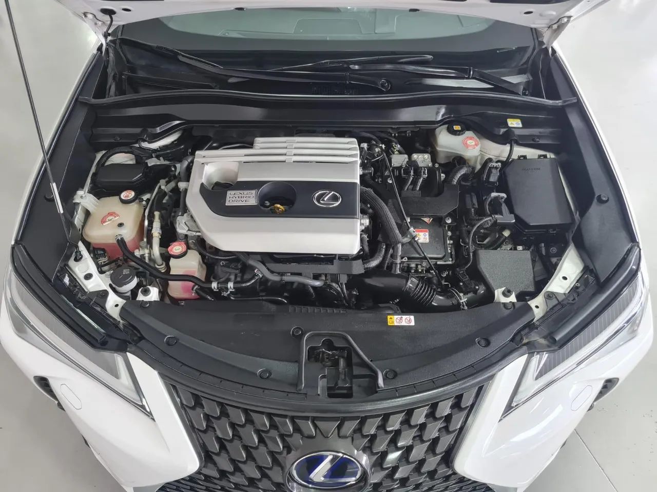 Lexus UX-250h Luxury 2.0 16V Aut.(hybrid), foto 15 de 20