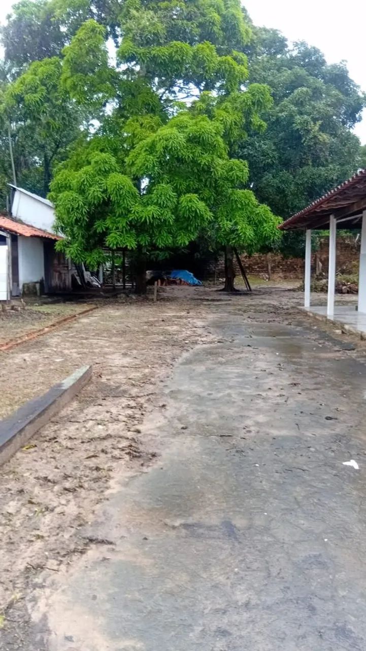 Vendo Sítio no Jota Lima - Foto 5