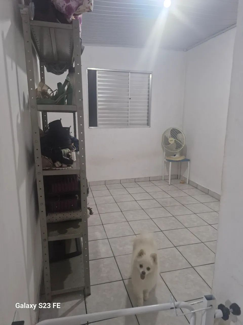 Vende  - Foto 2
