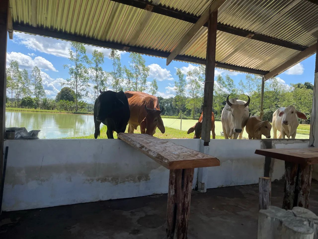 vende se  bem a baixo do valor  - Foto 4
