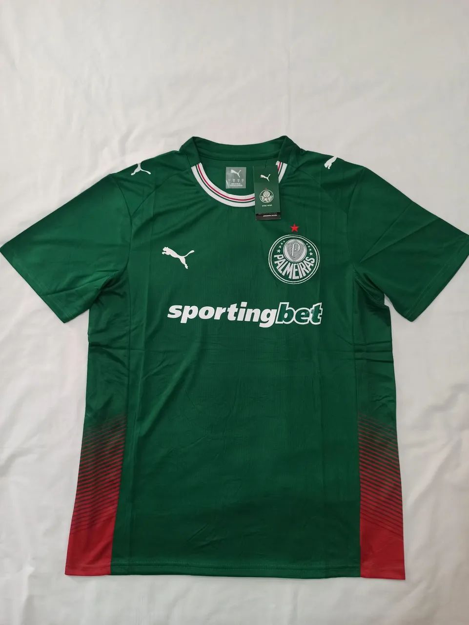 Camisa Palmeiras 26 G