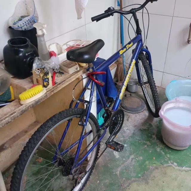 Bicicleta