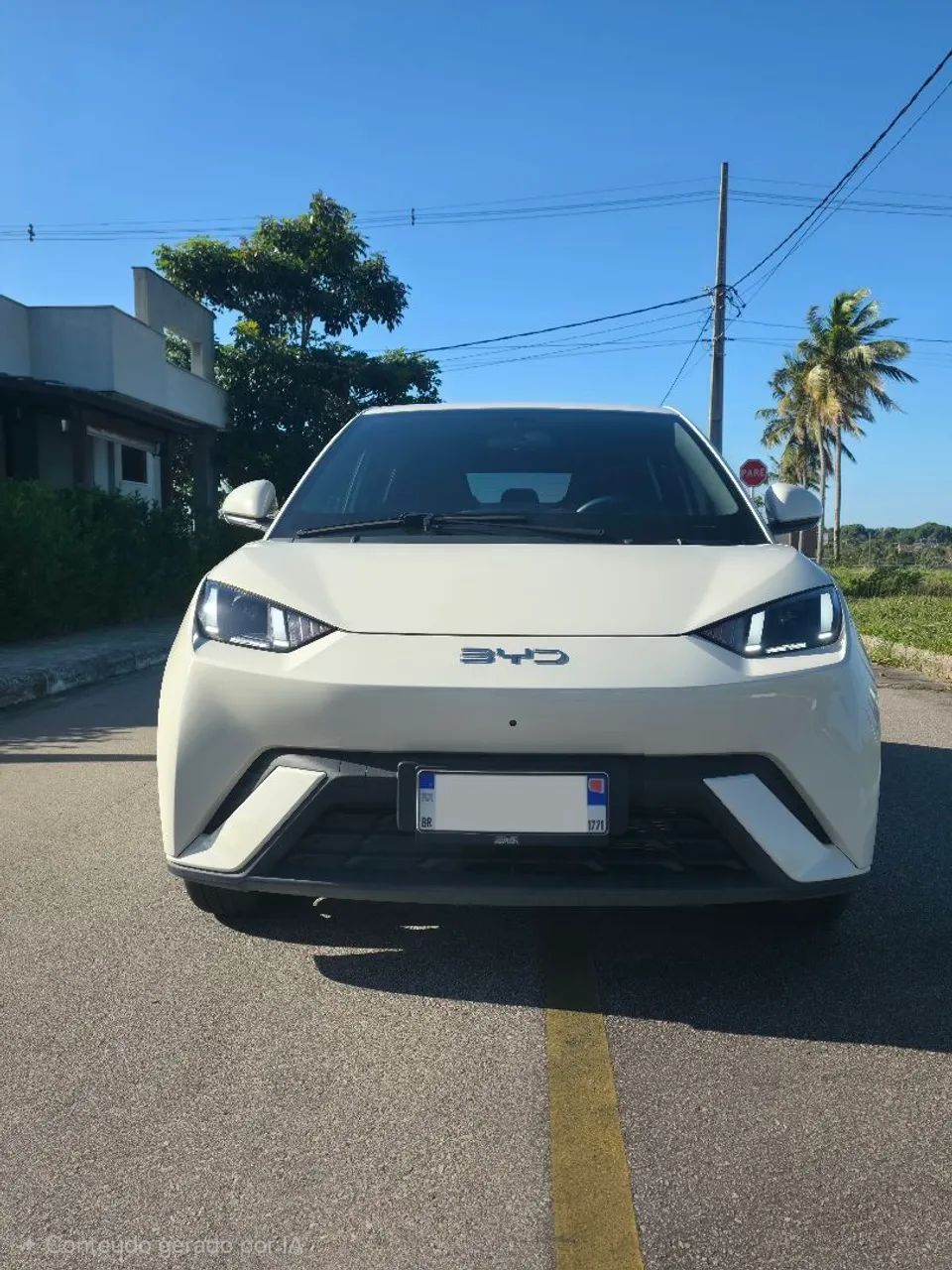 BYD Dolphin Mini (Elétrico) 2027