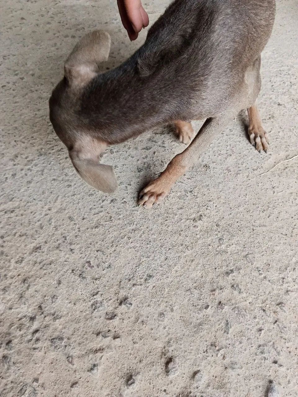 Doação 