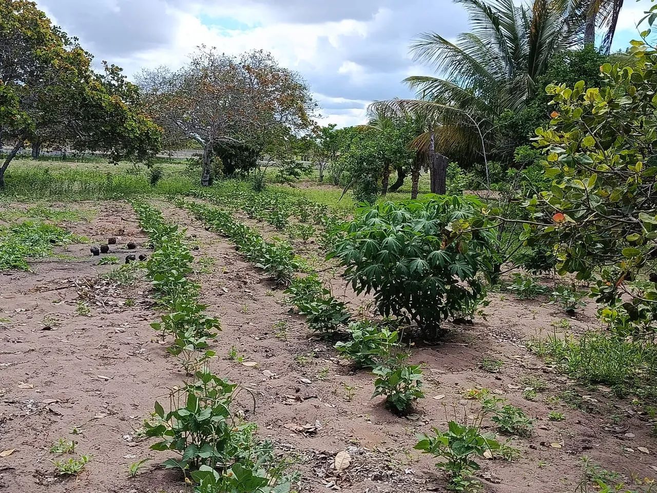Recanto do Sossego  - Foto 5