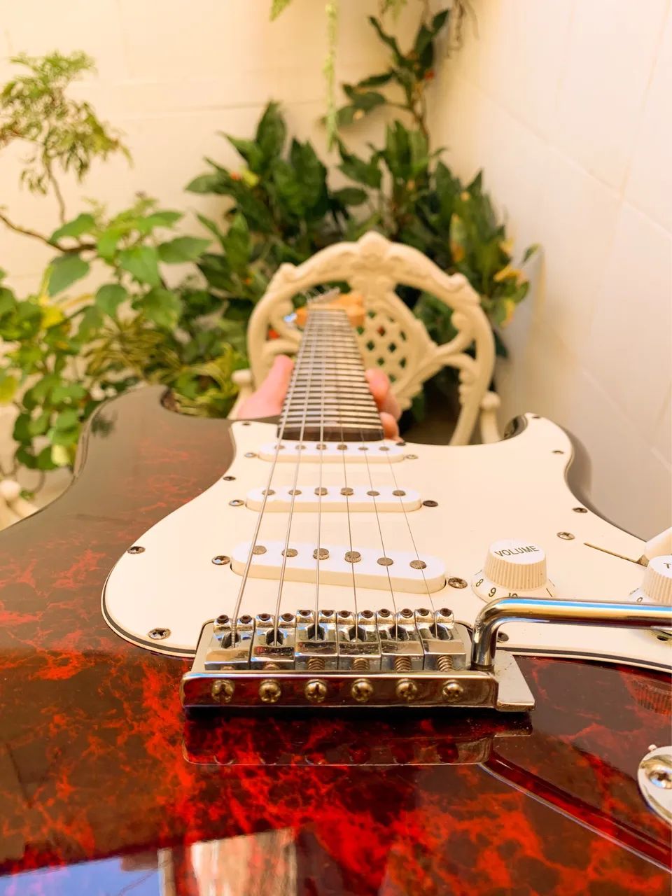 Guitarra Condor RX20S
