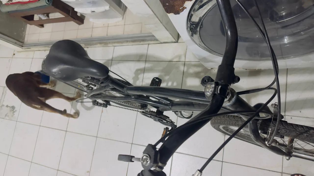 Bicicleta - Foto 2