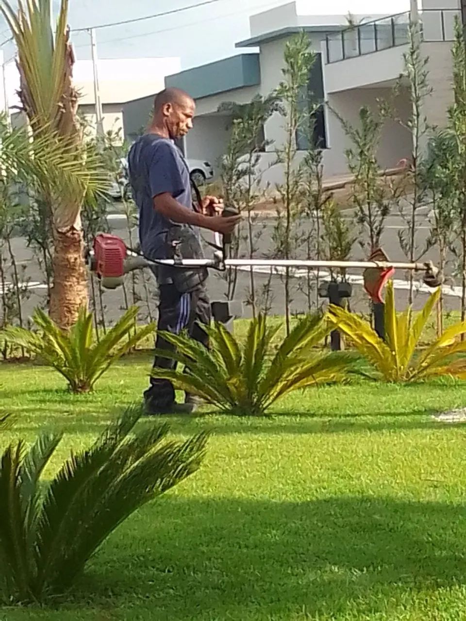 Jardinagem - Foto 2