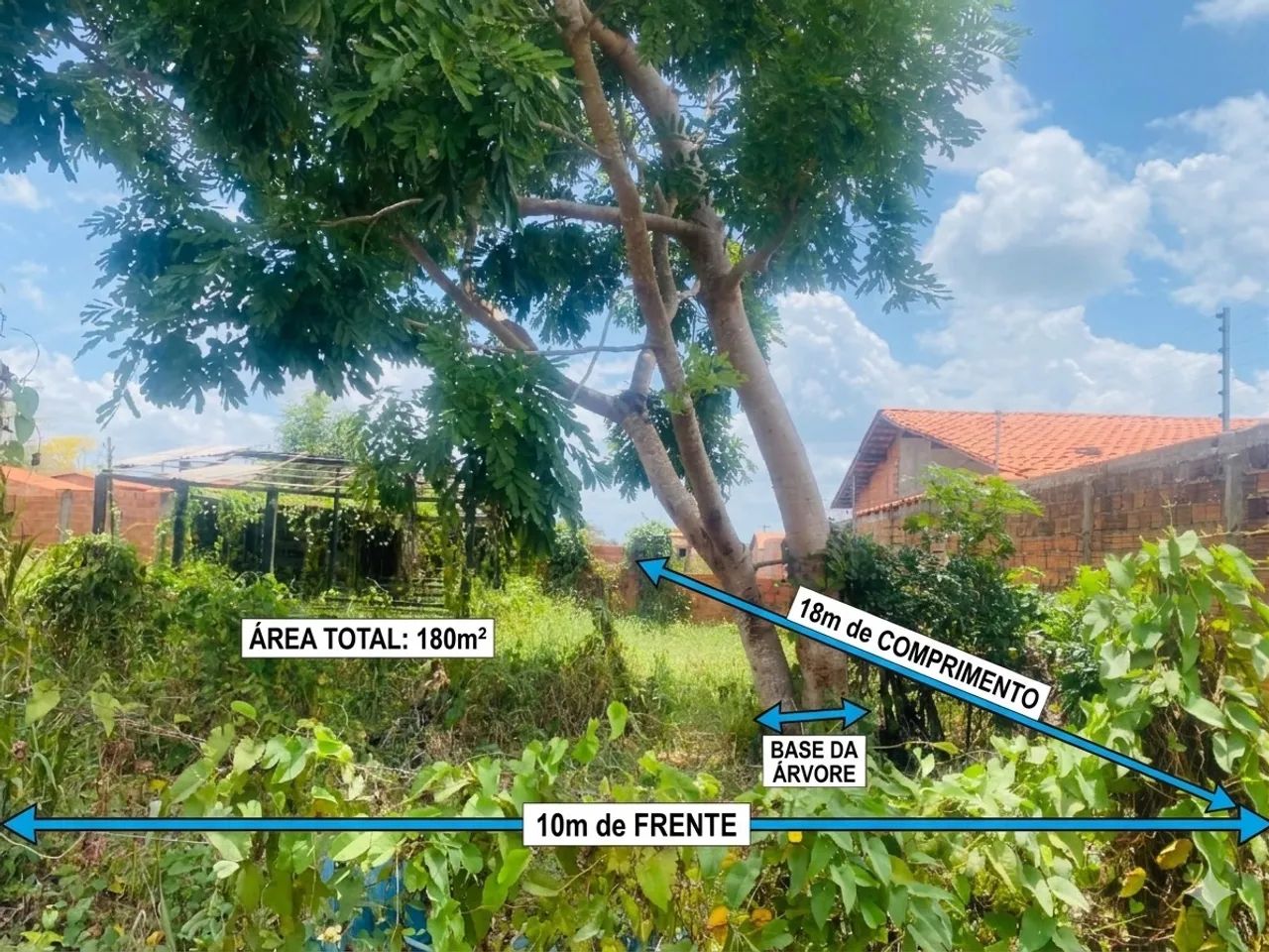 Vendo esse terreno