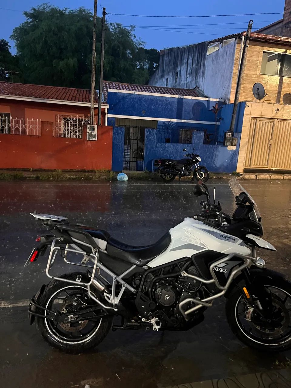 Tiger 900 gt pro  - Foto 7