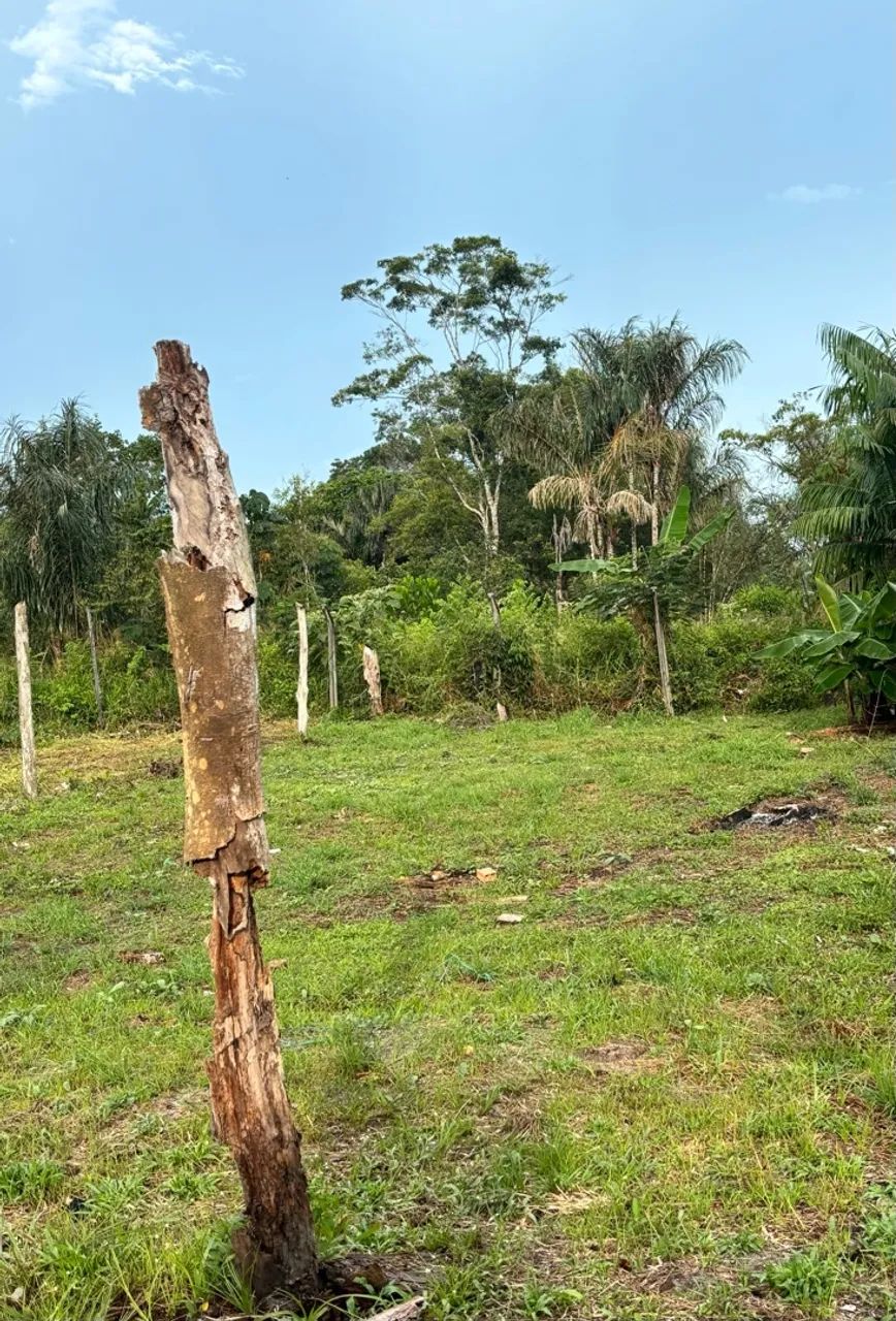 Terreno - Foto 2