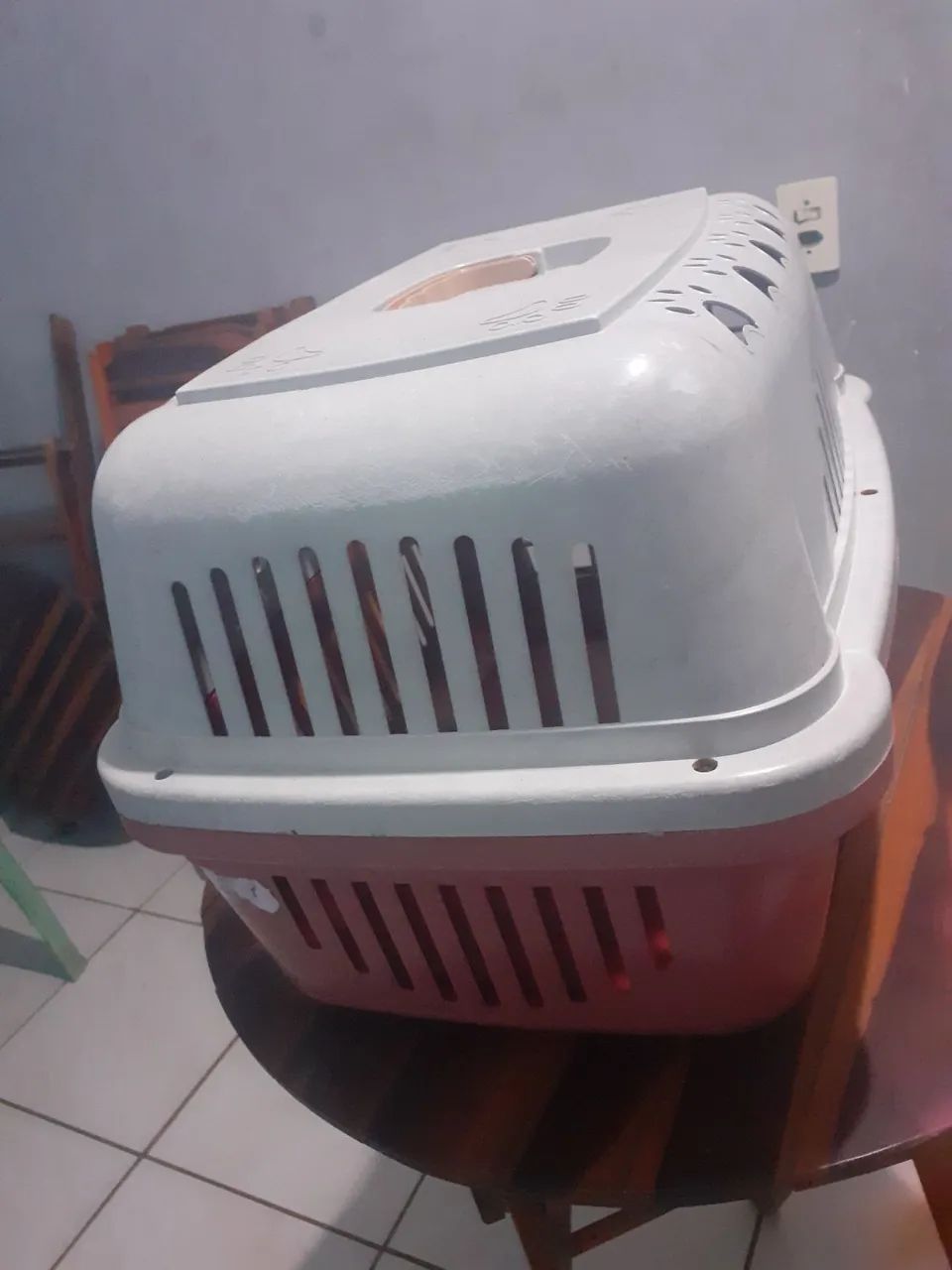 Caixa de Transporte para Cães e Gatos! - Foto 4