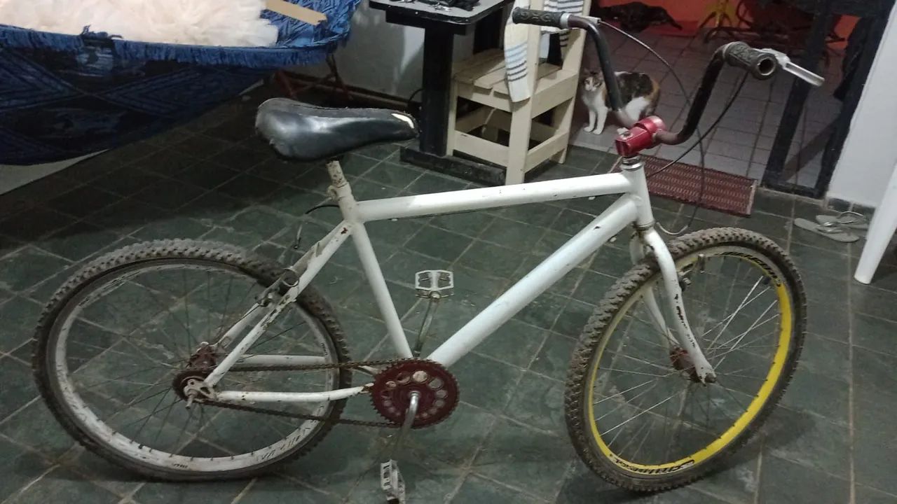 Vende bike