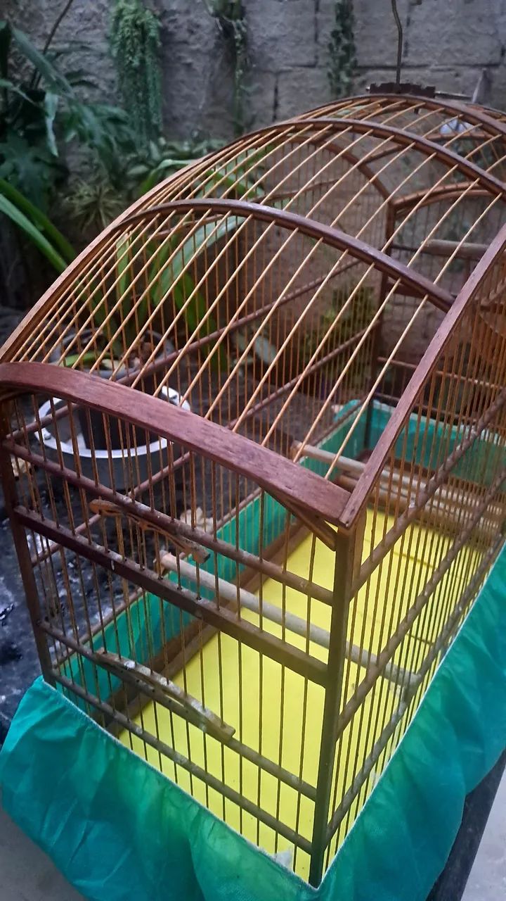 Gaiola Abaulada  - Foto 2