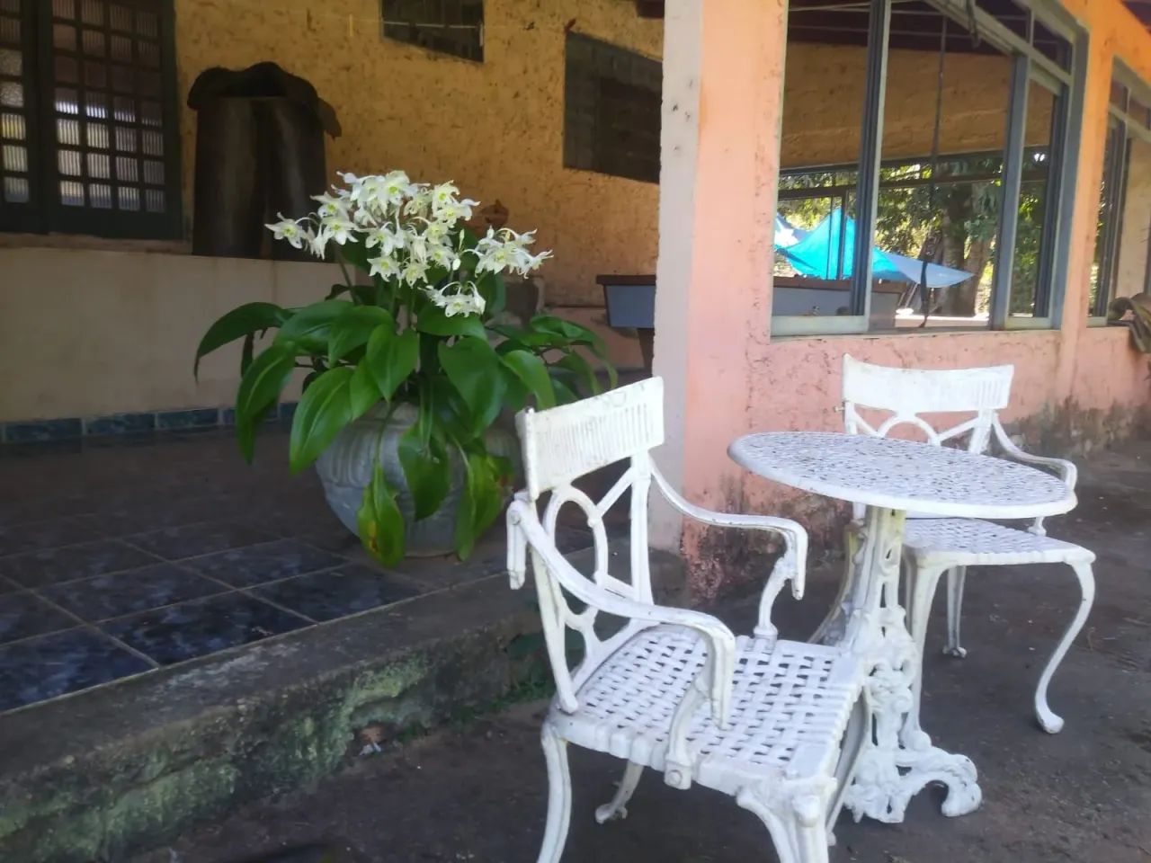 Fazenda para cria de gado, Luziânia, GO - Foto 4