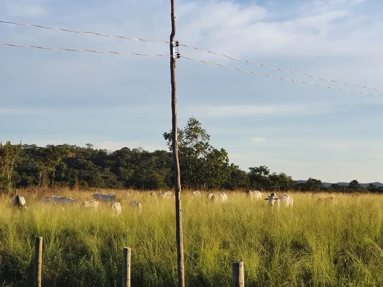 Fazenda - Crixás (GO) - Foto 2